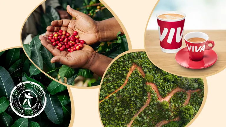 Viva pagina principala